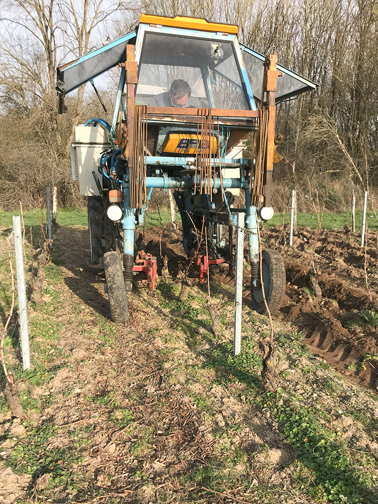 Jean-Pierre dans un tracteur entrain de travailler le sol