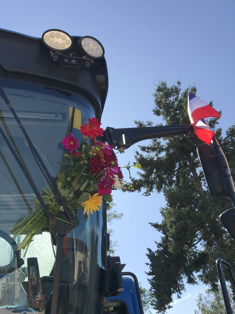 Bouquet des vendanges sur la vendangeuse